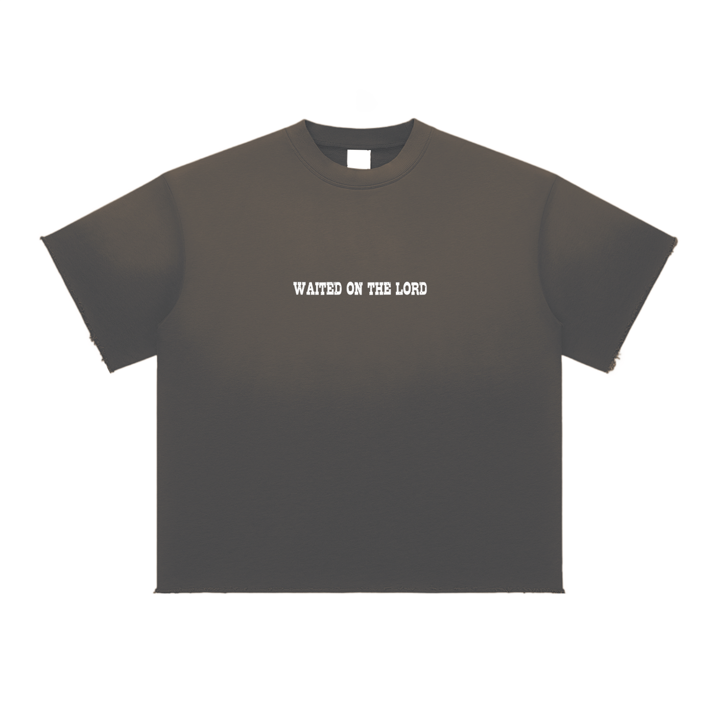 Soaring Sun Fade Raw Edge T-Shirt
