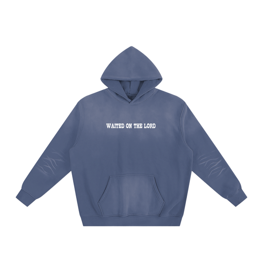 Soaring Sunfade Fleeced Hoodie